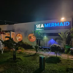 Sea Mermaid