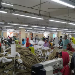 Basic Knitwear Ltd.