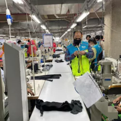Croydon Kowloon Designs Limited (CKDL)