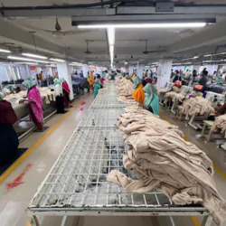 ESPRIT APPARELS LTD.