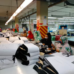 Goldtex Garments Ltd