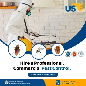 Best Pest Control Service in Dhaka