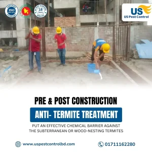 Best Termite Control Service in Dhaka- Anti Termite Service