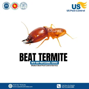 Best Termite Control Service in Dhaka-US Pest Control