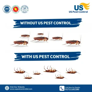 Dhaka’s best cockroach pest control service in Dhaka