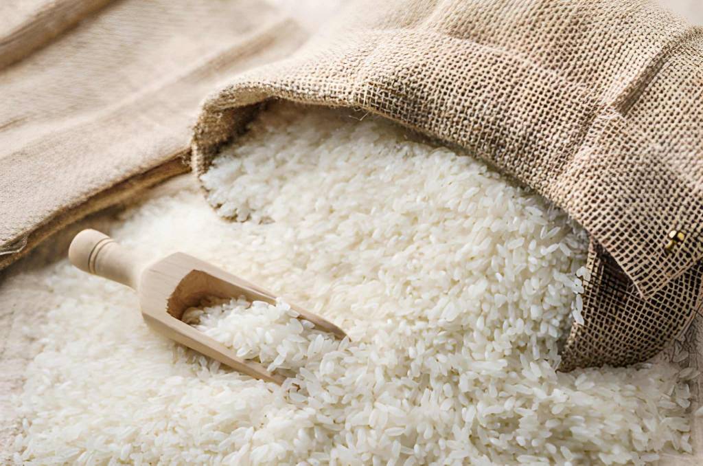 steptodown.com738872 (1)